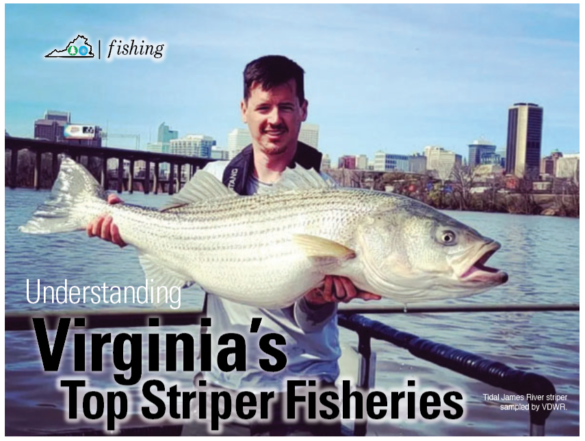 VA's Best Striper Fisheries - Woods & Waters Magazine