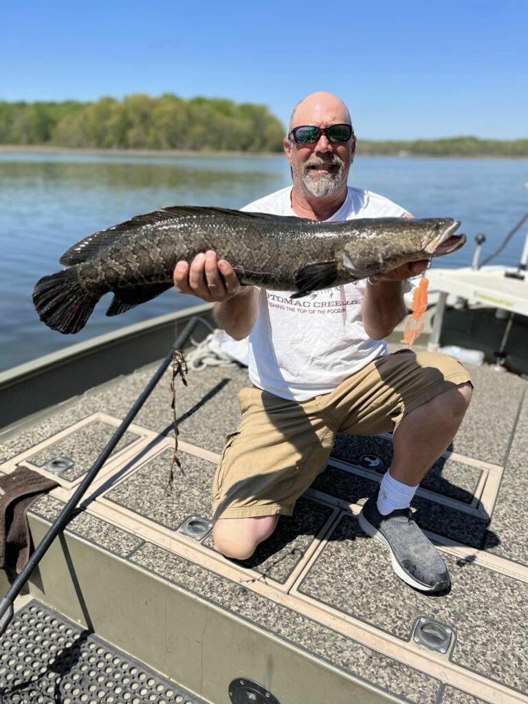 Tidal Potomac River Woods & Waters Magazine