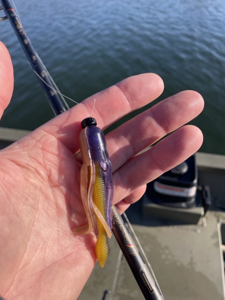 The Vig Rig Is Going To Be BIG! - Woods & Waters Magazine